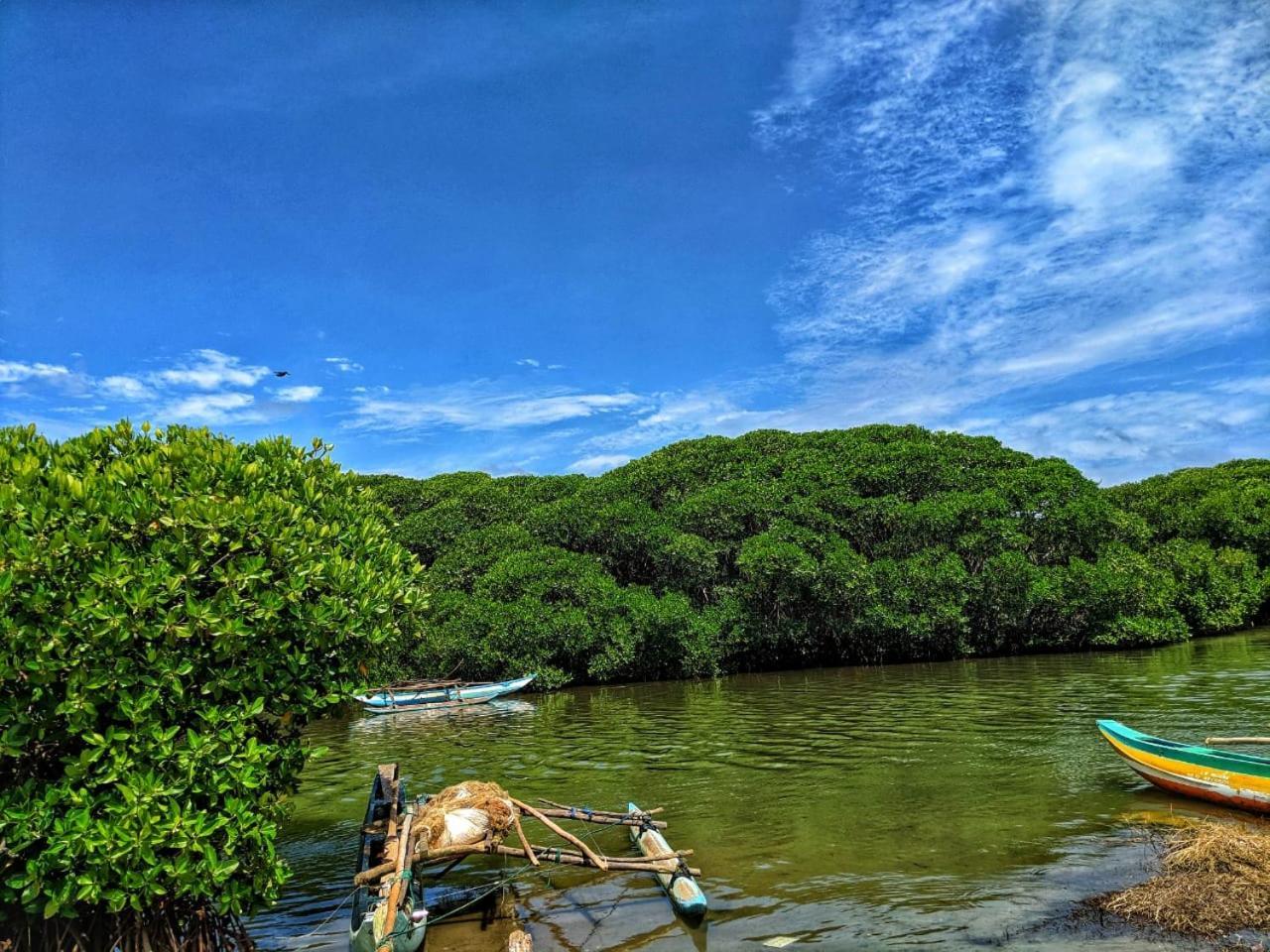 The Alexis'S Guest House เนกอมโบ ภายนอก รูปภาพ